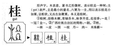 桂意思|桂